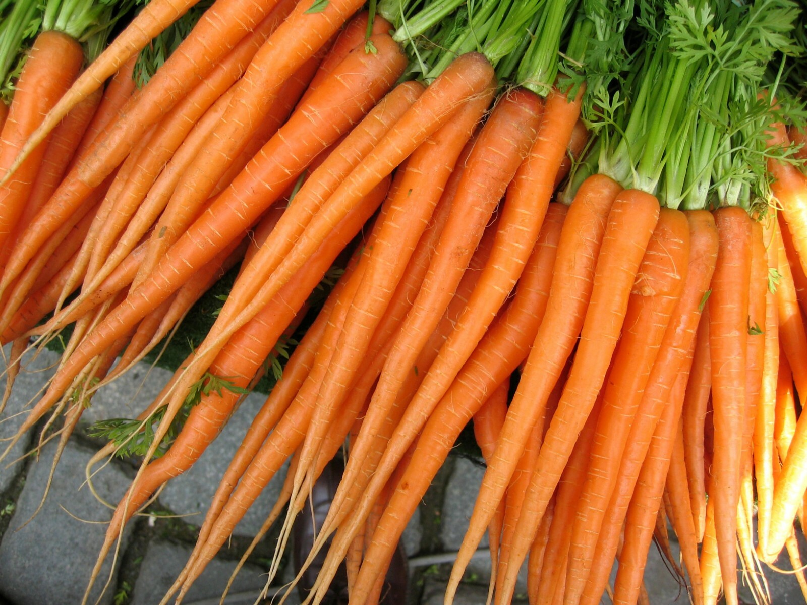 700 TENDER SWEET CARROT SEEDS FRESH HARVEST FOR 2024 GARDENS