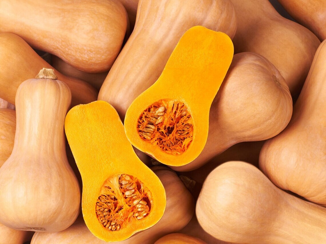 2024 Butternut SQUASH Seeds | 25 Ct HEIRLOOM Vegetable NON-GMO USA FREE SHIPPING
