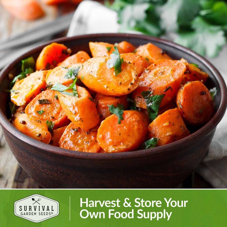 Tendersweet Carrot Seeds Untreated. Free Shipping!