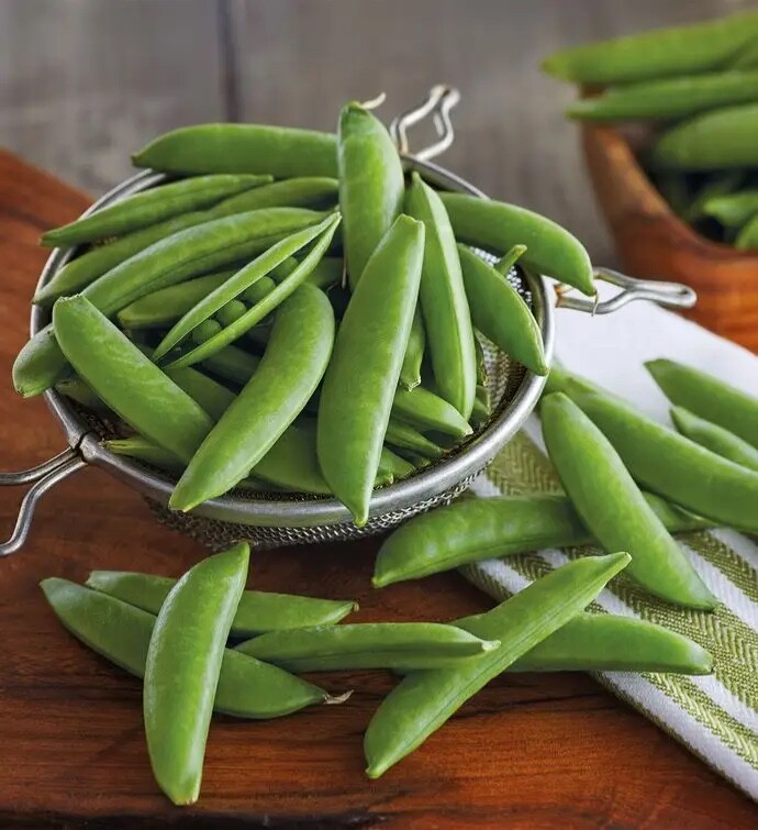 Cascadia Sugar Snap Peas Seeds –  200+ count. US Shipper