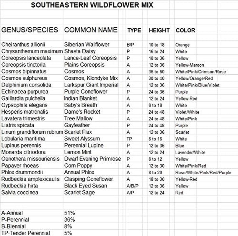 ~ Southeast Wildflower Seed Mix (1 Lb) 450,000 Seeds Non GMO Bulk