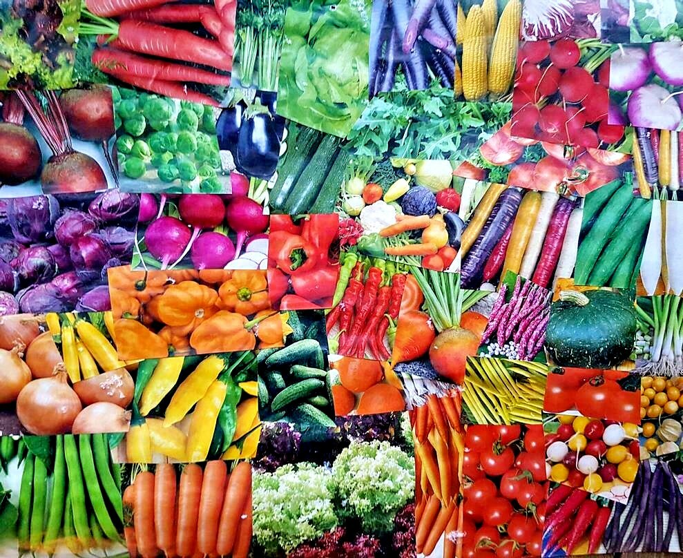 #3 Heirloom Vegetable Seed 6 Variety Garden Set Emergency Survival NON-GMO 150+