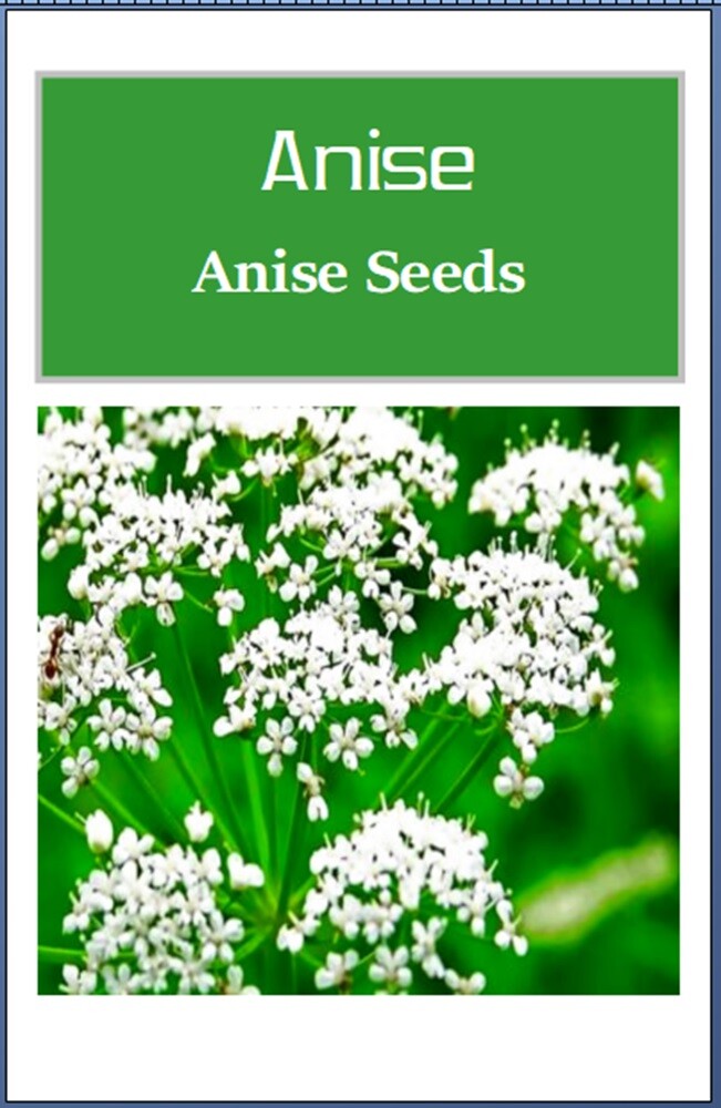 Anise Seeds | NON-GMO | Heirloom | Fresh Garden Seeds
