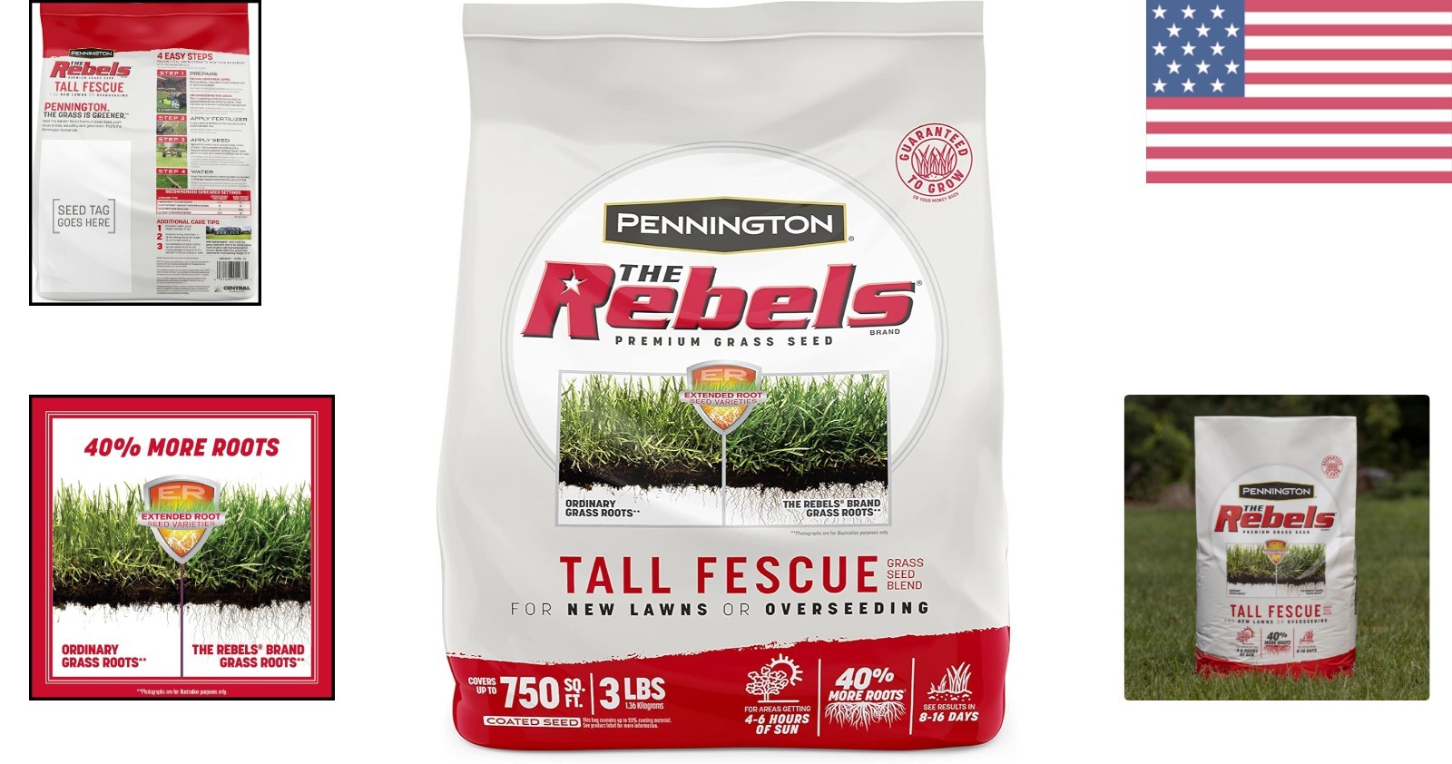 Tall Fescue Grass Seed – The Rebels 3 lb for Tough Conditions & Low Maintenance