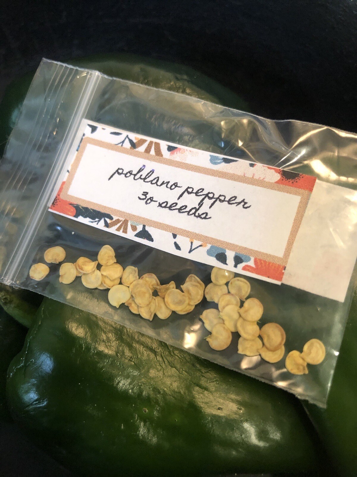30+ Ancho Poblano Pepper Seeds | Non-GMO | Heirloom | Fresh Garden Seeds