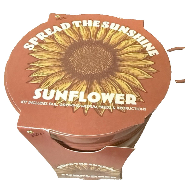 Complete Sunflower Grow Kit in Collectible Tin Pot 4.5″