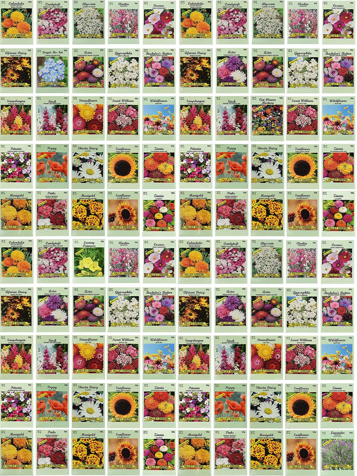 Set of 100 Assorted Valley Green Flower Seed Packets! Flower Seeds in Bulk – …