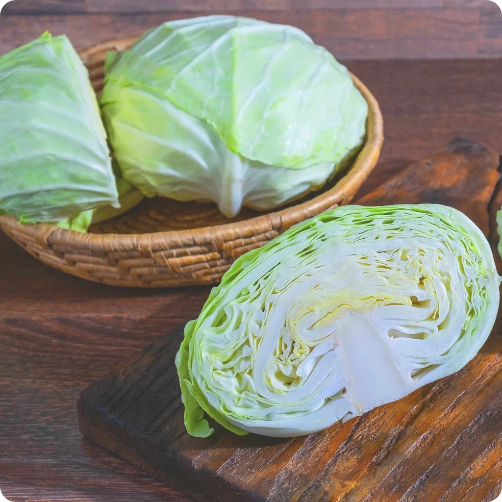 500+ Late Flat Dutch Cabbage Seeds — Heirloom — NON GMO — FRESH