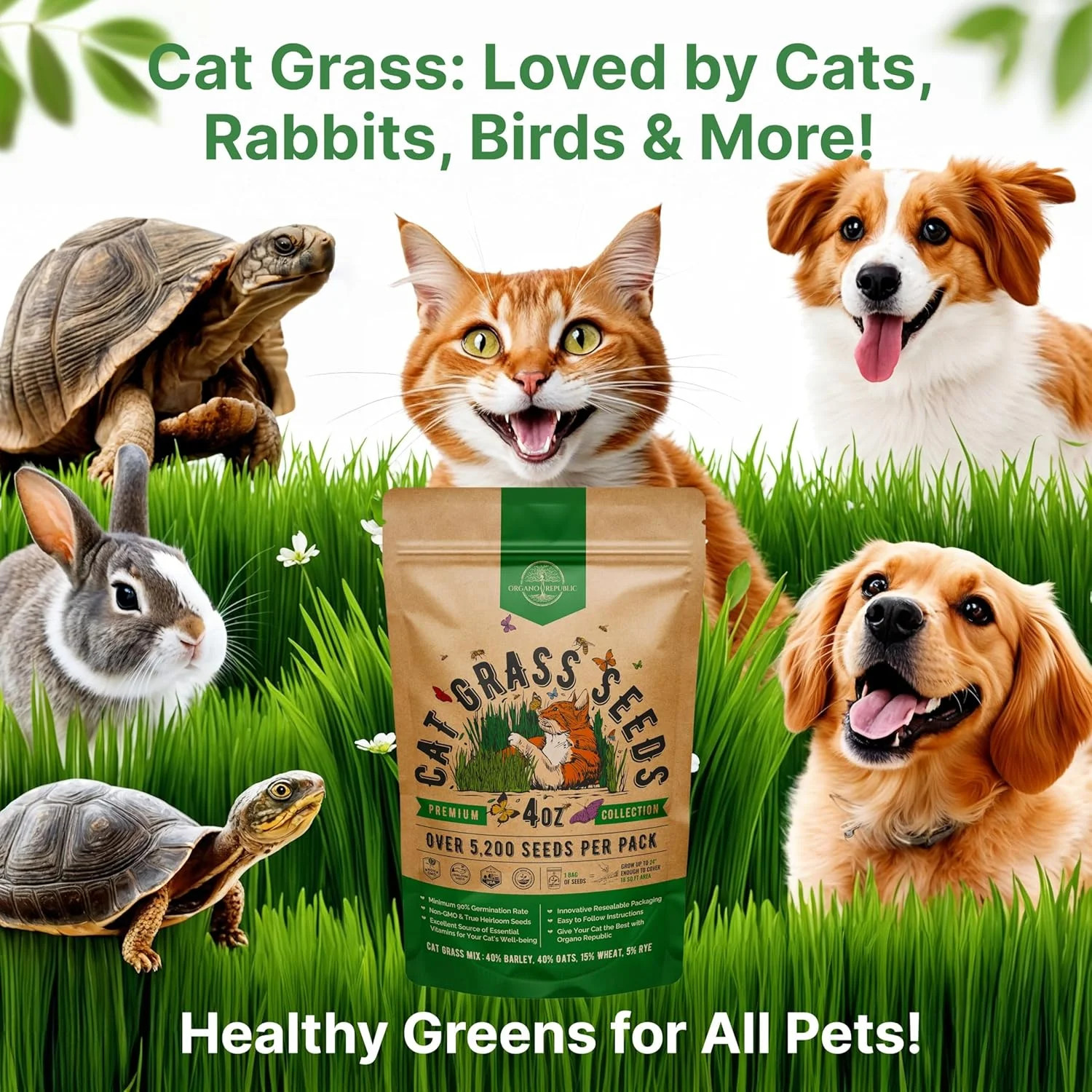 Cat Grass Seeds Mix – 5,200 Non-GMO Heirloom Seeds for Cats & Pets, 4 oz Pack fo