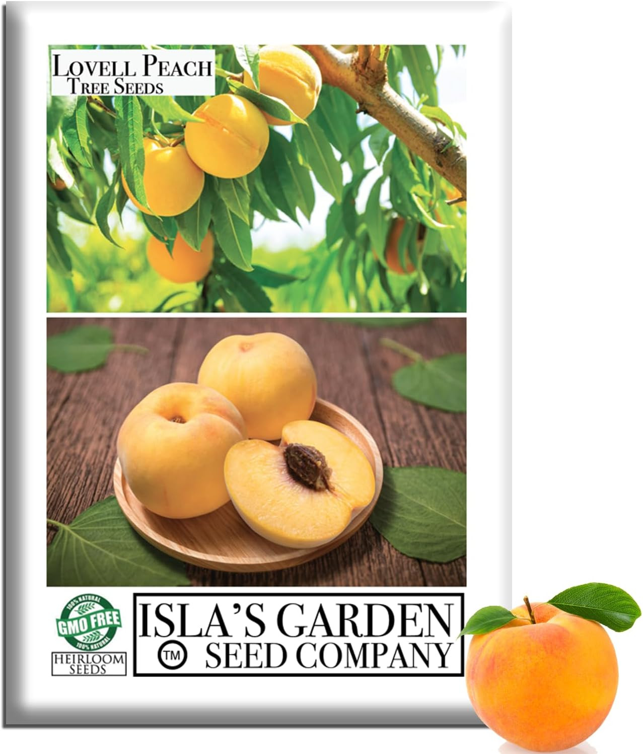 Lovell Peach Tree Seeds (Prunus Persica) – 2 Heirloom Non-Gmo Seeds by Isla’S Ga