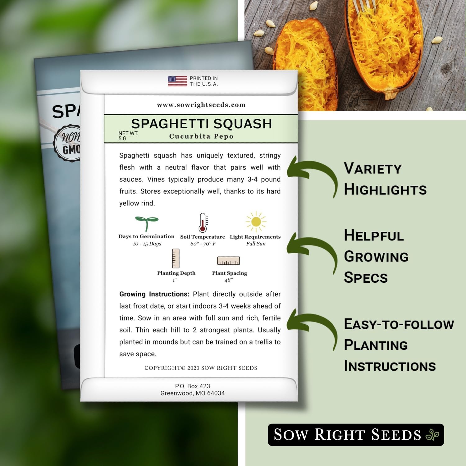 Non-GMO Heirloom Spaghetti Squash Seeds for Planting – Grow Your Own Garden (4)