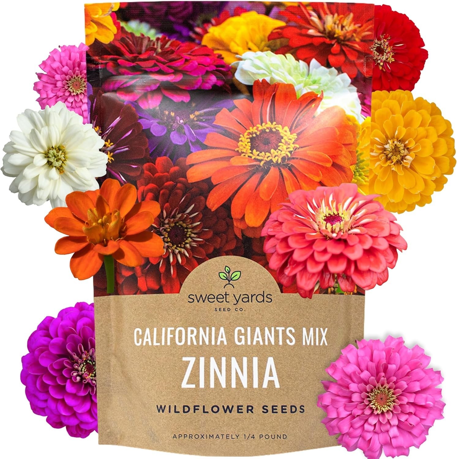 Zinnia Seeds – California Giants, 1lb