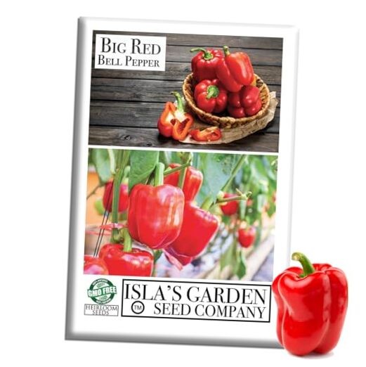 Big Red Bell Pepper Seeds (Capsicum annuum) – 50+ Non-GMO Heirloom Seeds by