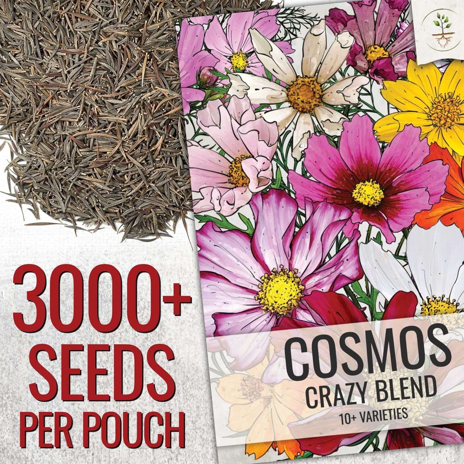Flower Seeds Cosmos Crazy Blend No Filler 10+ Varieties Cosmos | Cosmo Bipinnatu