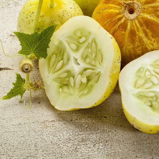 40 Lemon Cucumber Seeds Non-GMO Heirloom USA Seller