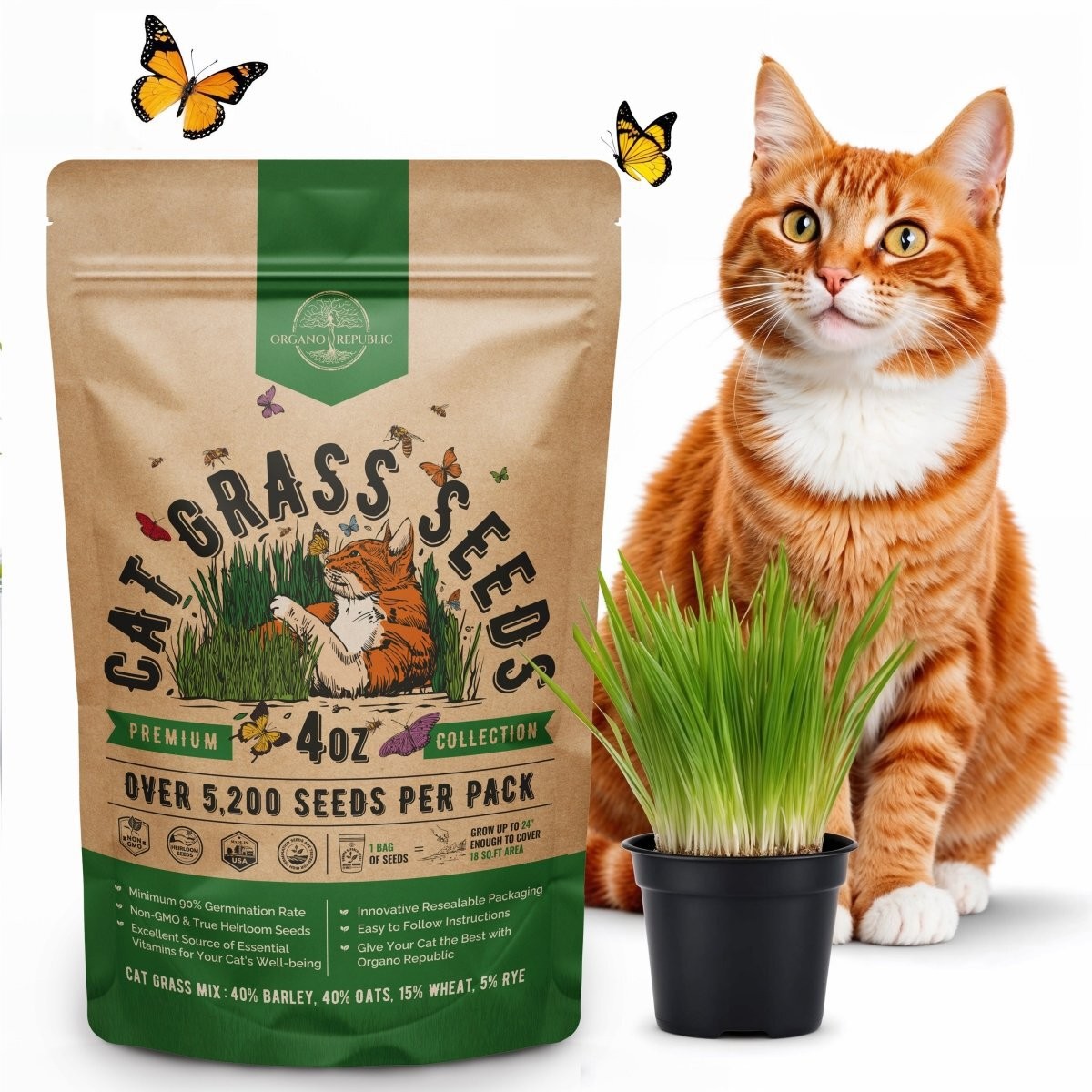Cat Grass Seeds Mix 4 oz
