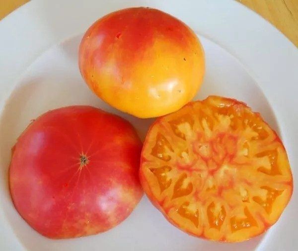 30+ Pineapple Tomato Seeds – Heirloom – Organic – NON GMO — FRESH — RARE