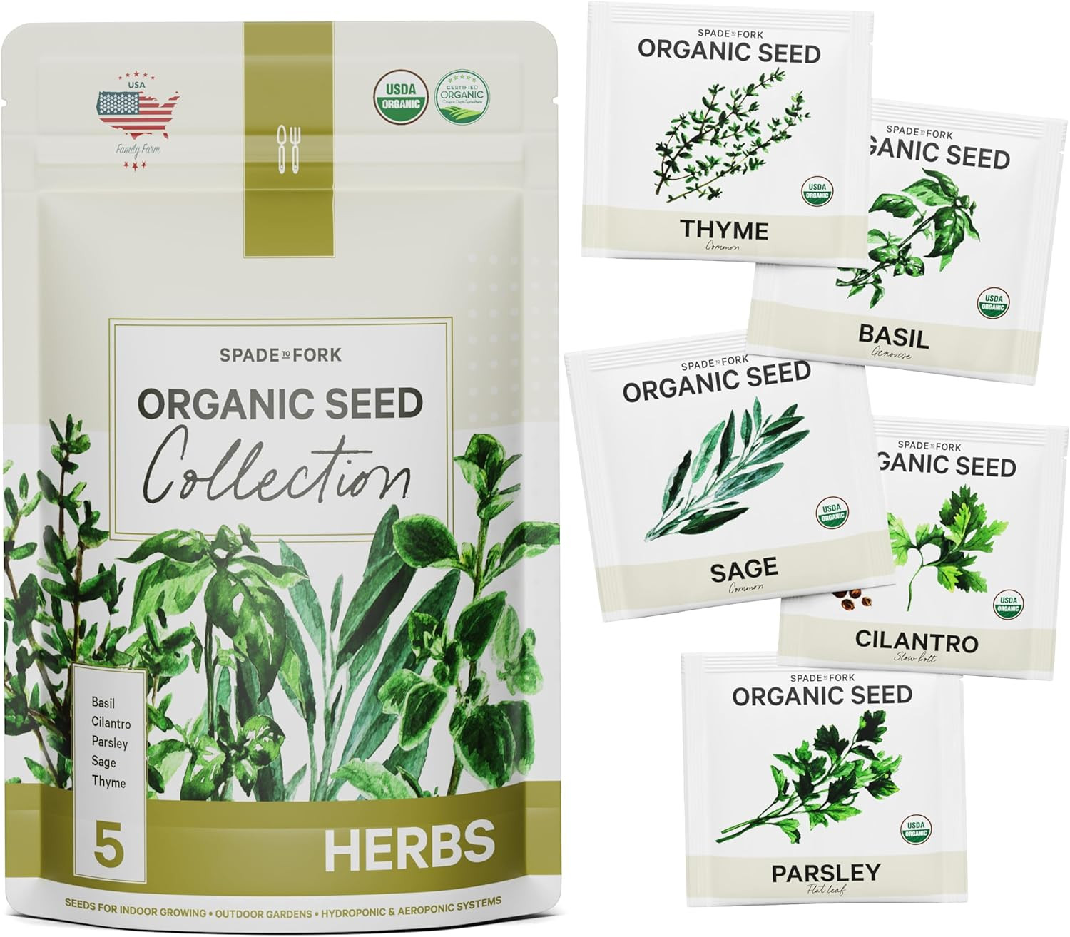 5 Certified Organic Herb Seeds Variety Pack (4X More) 2,800+ Non GMO Seeds for P