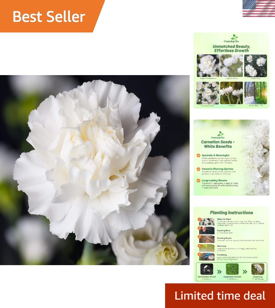 GMO-Free White Carnation Seeds – Easy to Grow, Attracts Pollinators, 1000 Pcs