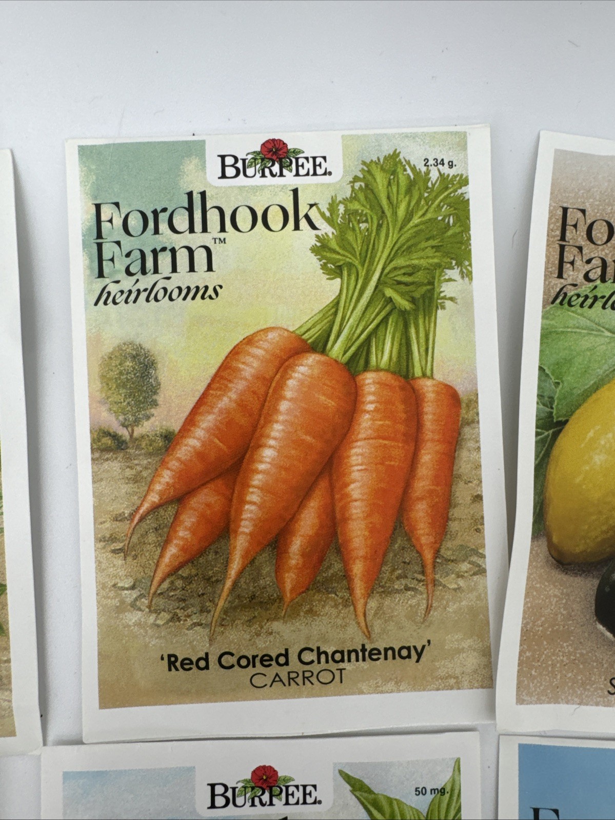 Fordhook Farm Heirlooms Burpee Non-GMO 288 Seed Packs 21 Mixed Varieties Prepper