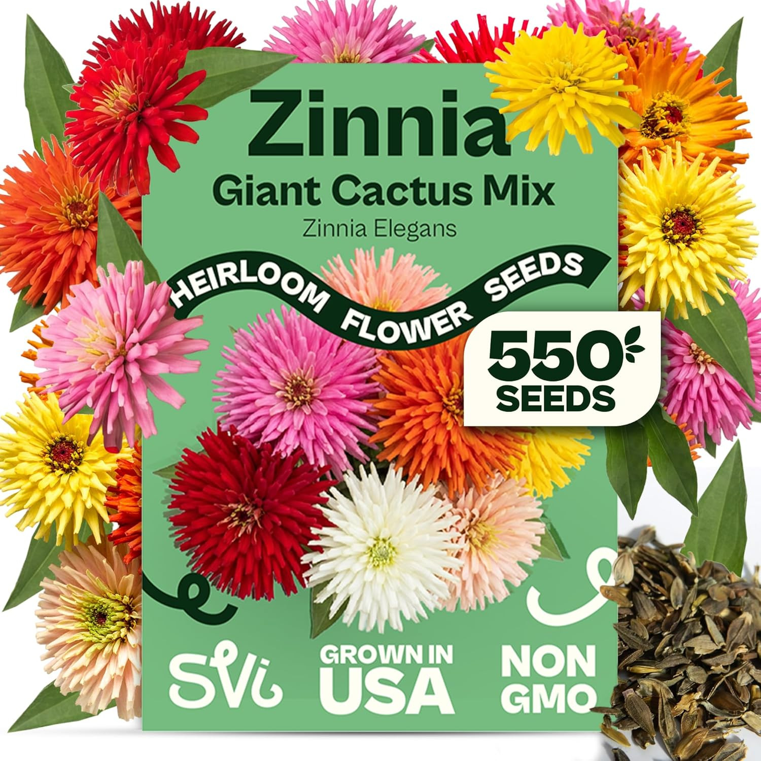 550 Mix Cactus Zinnia Seeds for 2026 (Zinnia Elegans) – Giant Zinnias Super Seed