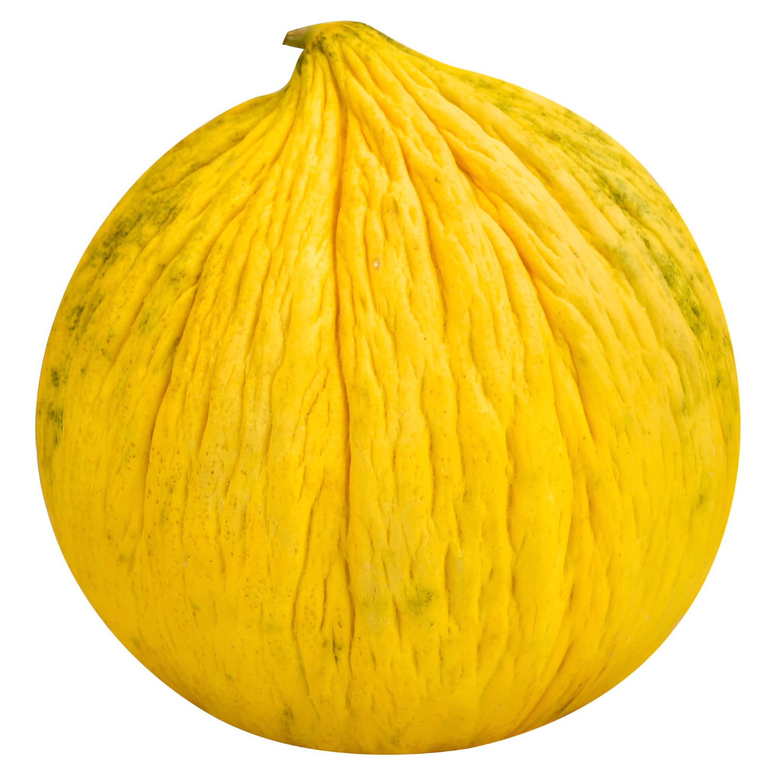 40 Heirloom Golden Beauty Casaba Melon Seeds – Super Sweet Golden Melon