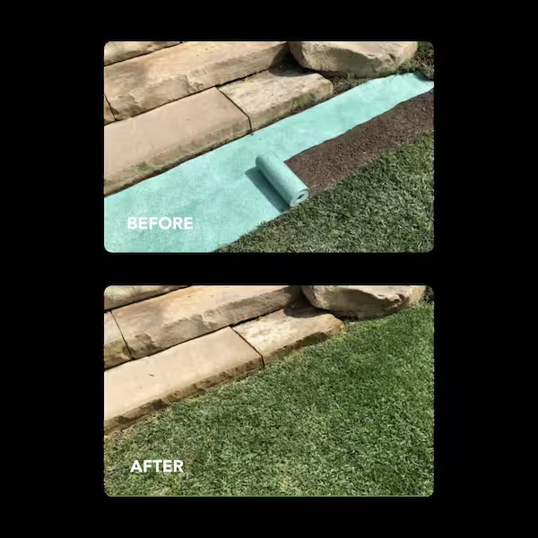 50 sq. ft. Quick Fix Year Round Green Mixture