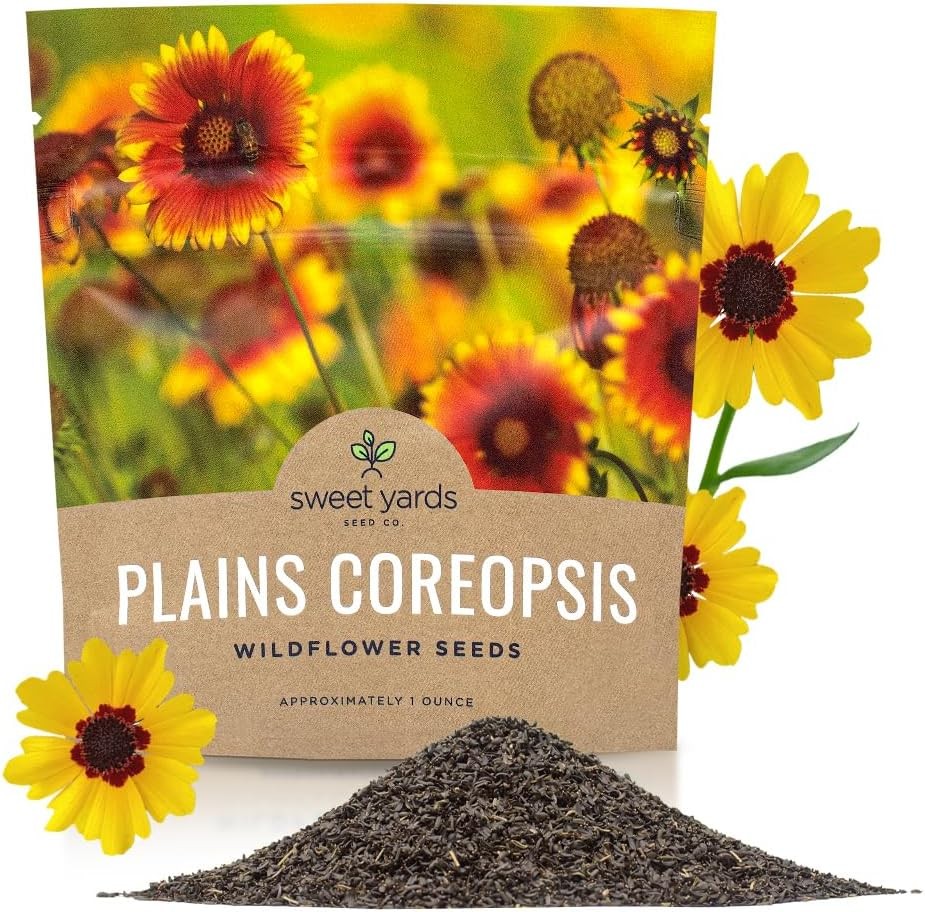 Plains Coreopsis Seeds – Native Flowers – Extra Large Packet – Over 100000 Open