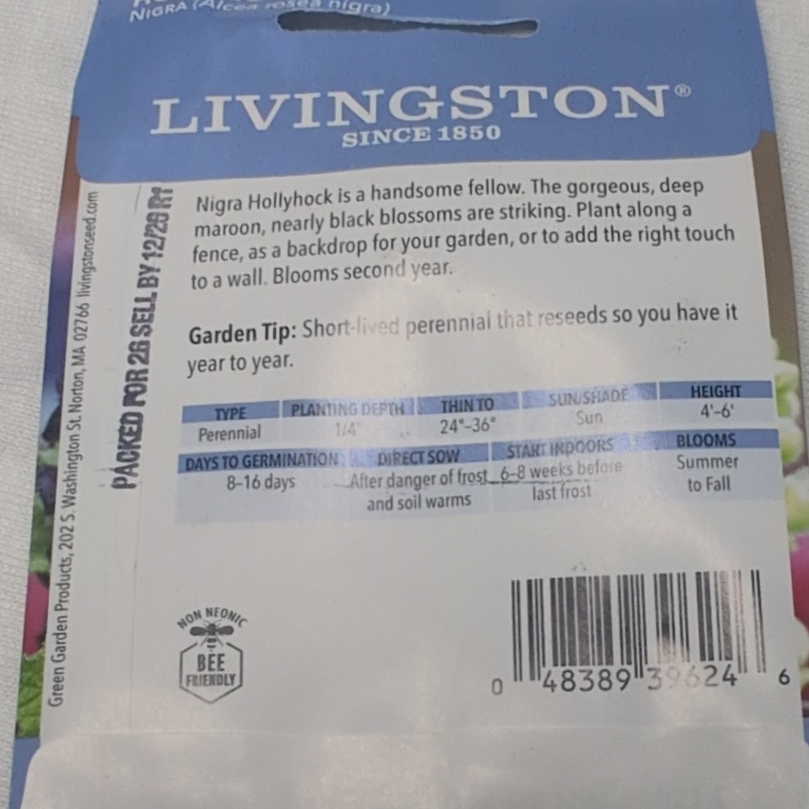Livingston Hollyhock Nigra Perennial Black Flower Seeds Full Sun Summer/Fall