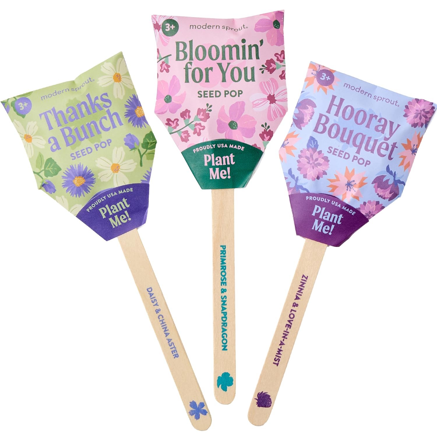 Seed Pops – Gifts for Plant Lovers & Kids – Organic Non-GMO Hooray Bouquet Bl…