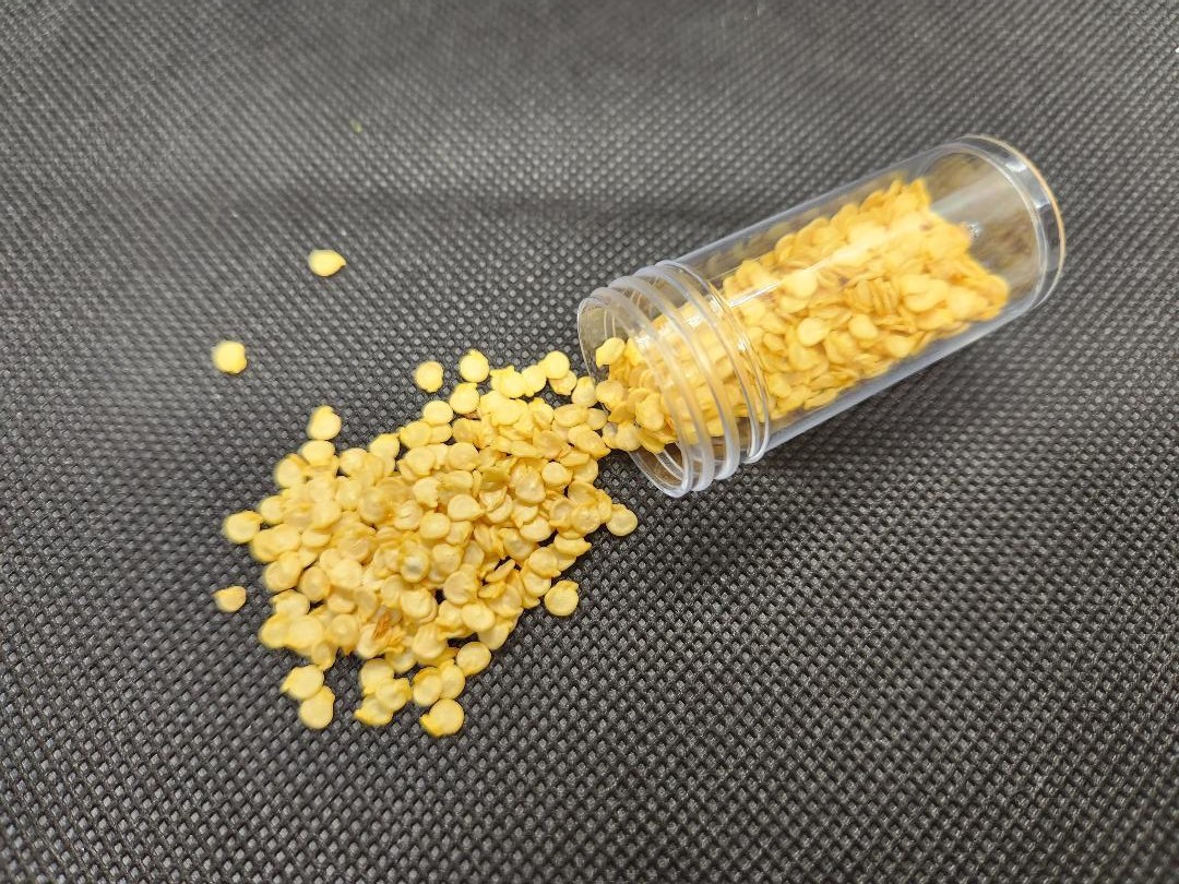 Seeds from Puerto Rico, Organic, NON-GMO, Sofrito, garden, hydroponic, aji dulce