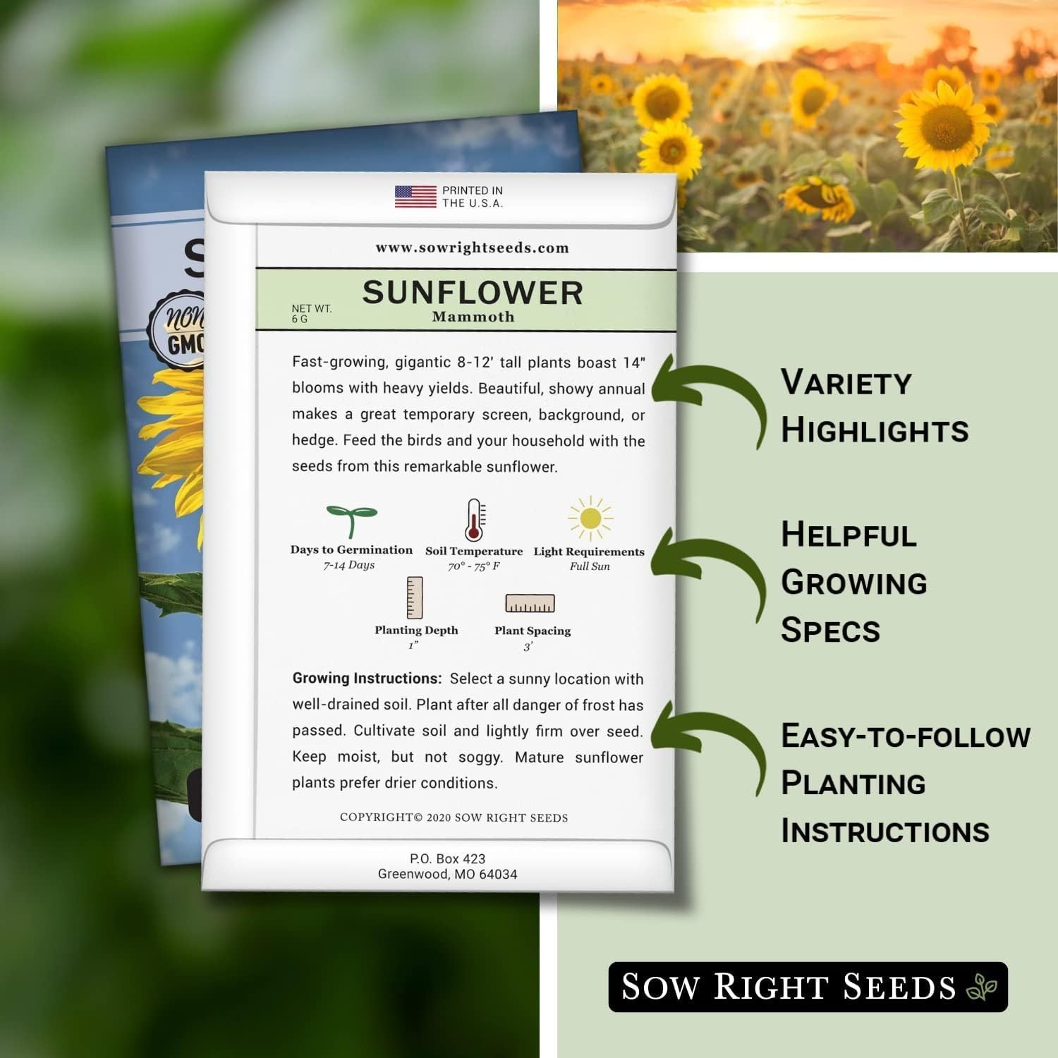 Mammoth Sunflower Seeds: Grow Giant 8-12 Ft Blooms – Non-GMO Heirloom Pack