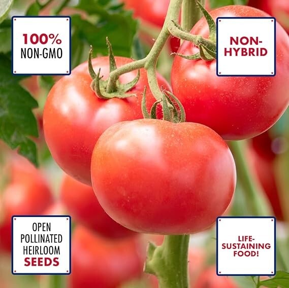 Heirloom Garden Seeds | Non-GMO Vegetable & Herb Seeds | Survival Gardening
