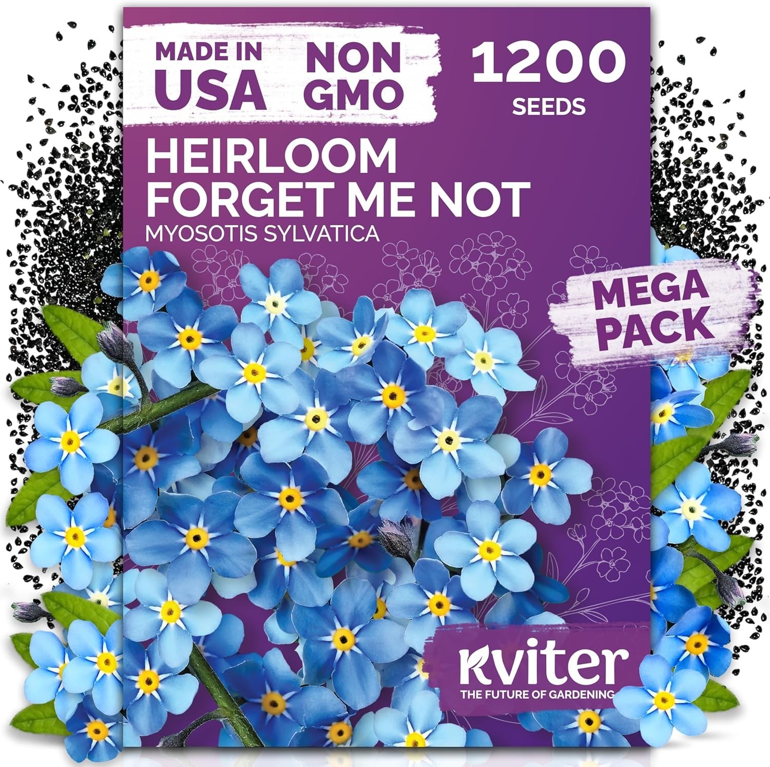 Wildflower Seeds 1200 Count Forget Me Not Blue Bloom Perfect for Containers