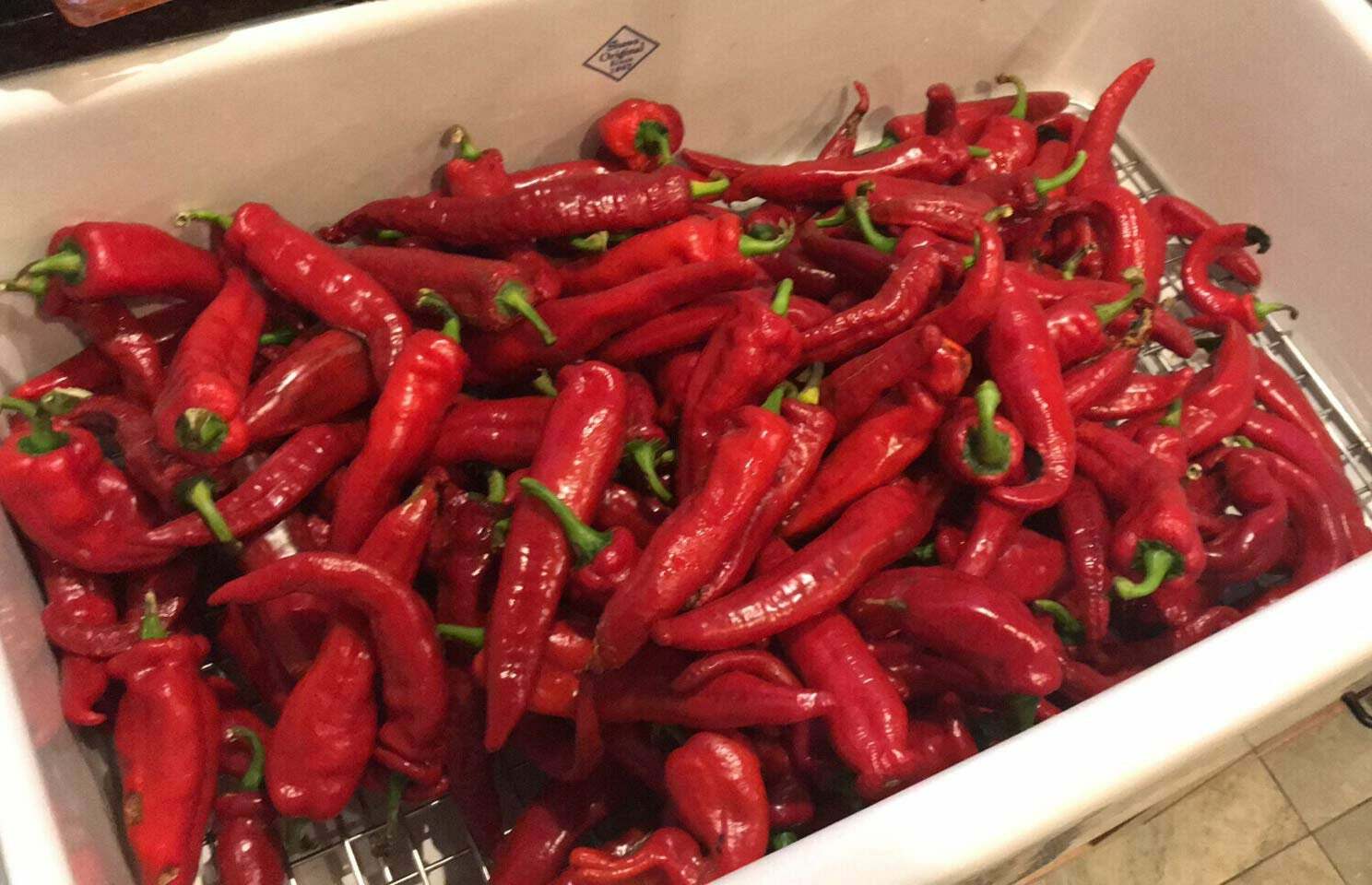 NuMex Las Cruces Cayenne Pepper Premium Seed Packet