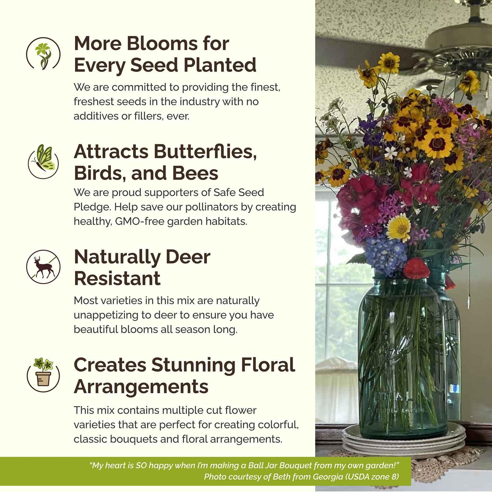 Burst of Bloom Wildflower Mixed Seeds for Planting, 1/4 lb, 120,000+ Seeds wi…