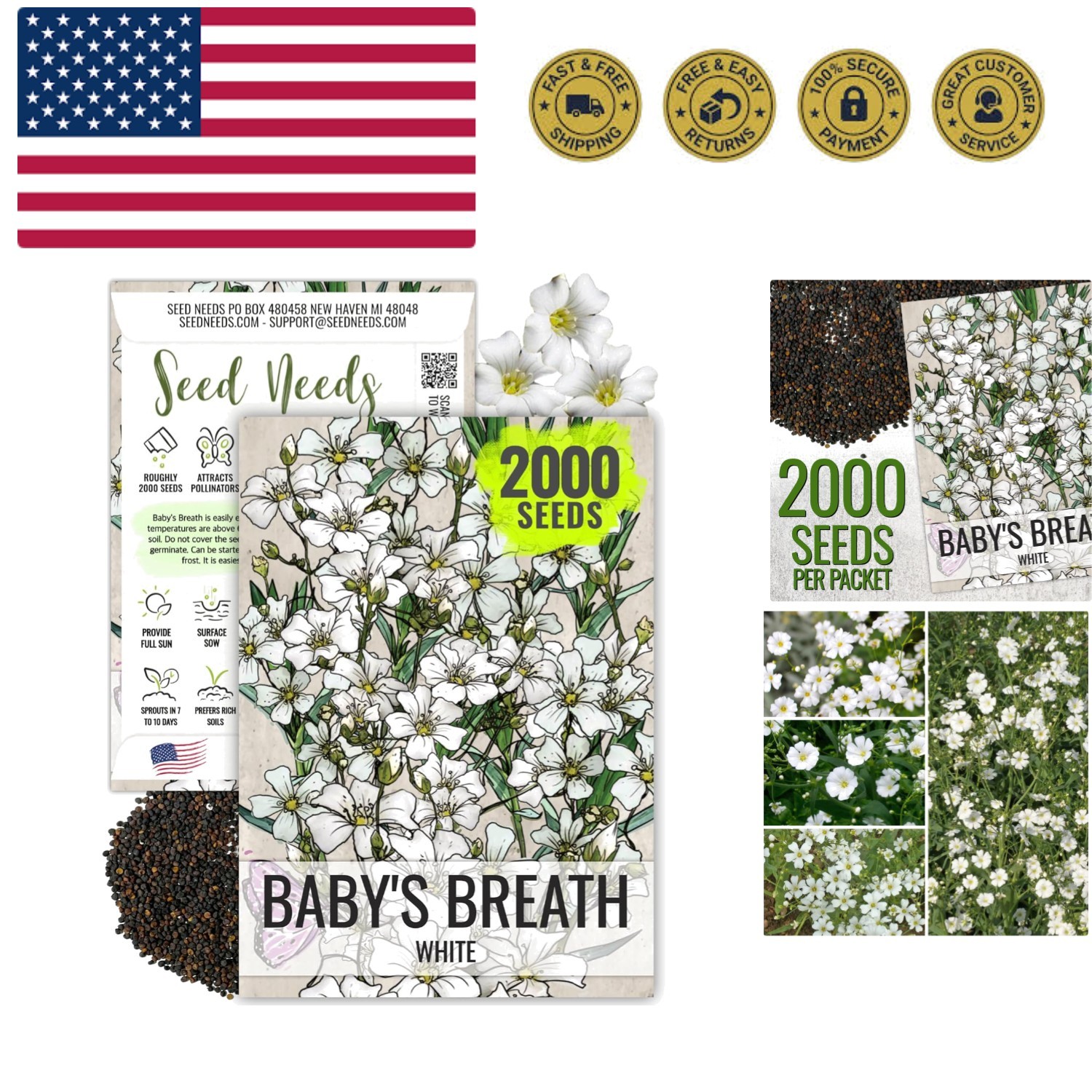 Open Pollinated White Baby’s Breath Seeds – 2000 Count for Floral Beauty