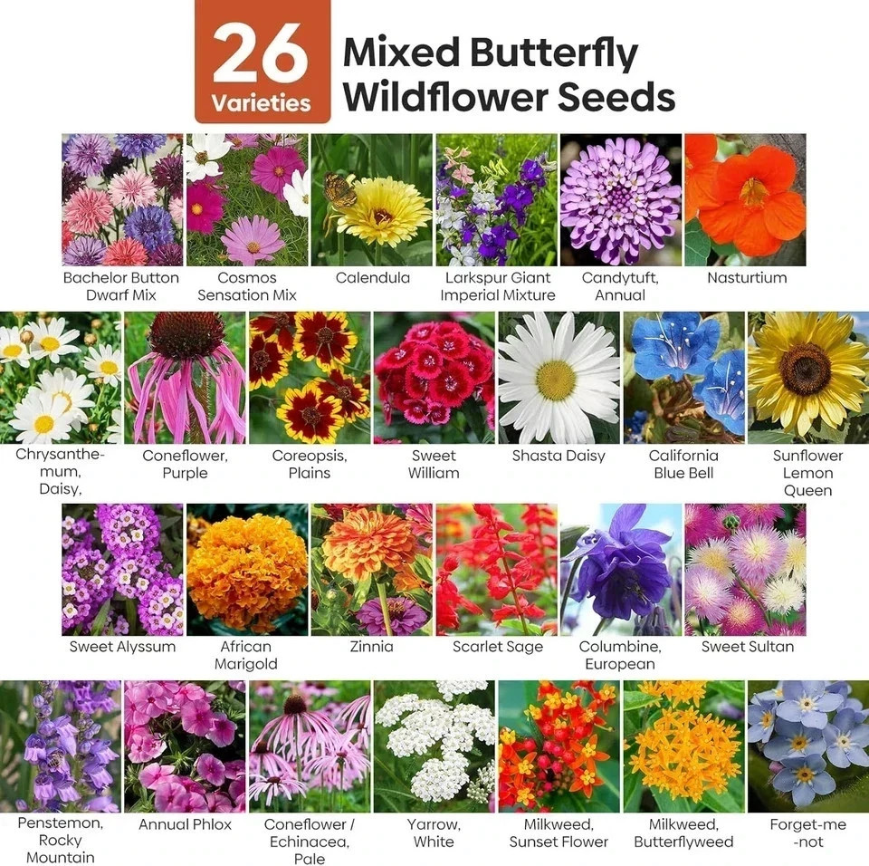 All Perennial Wildflower Seeds Bulk, 1/4 Lb, 100,000+ Seeds, 26 Variety Mix with