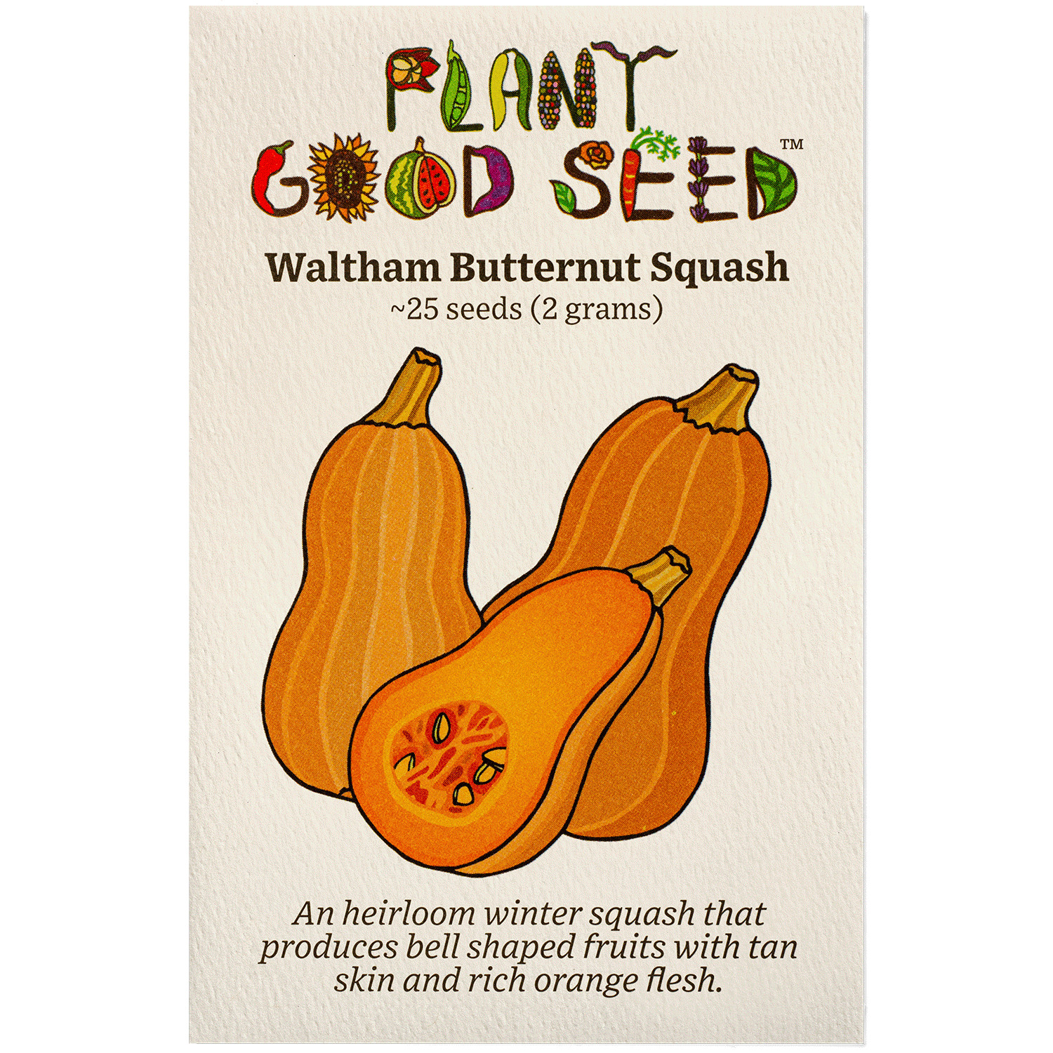 Waltham Butternut Squash Seeds