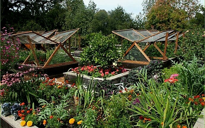 Vegetable Seed LARGE SURVIVAL Garden Collection 30 Types Heirloom NON-GMO