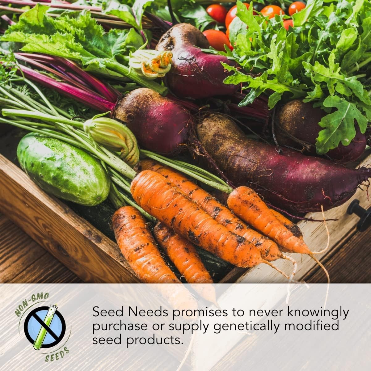 Elegant Radish Seed Collection: 6 Non-GMO Varieties for Sustainable Gardening