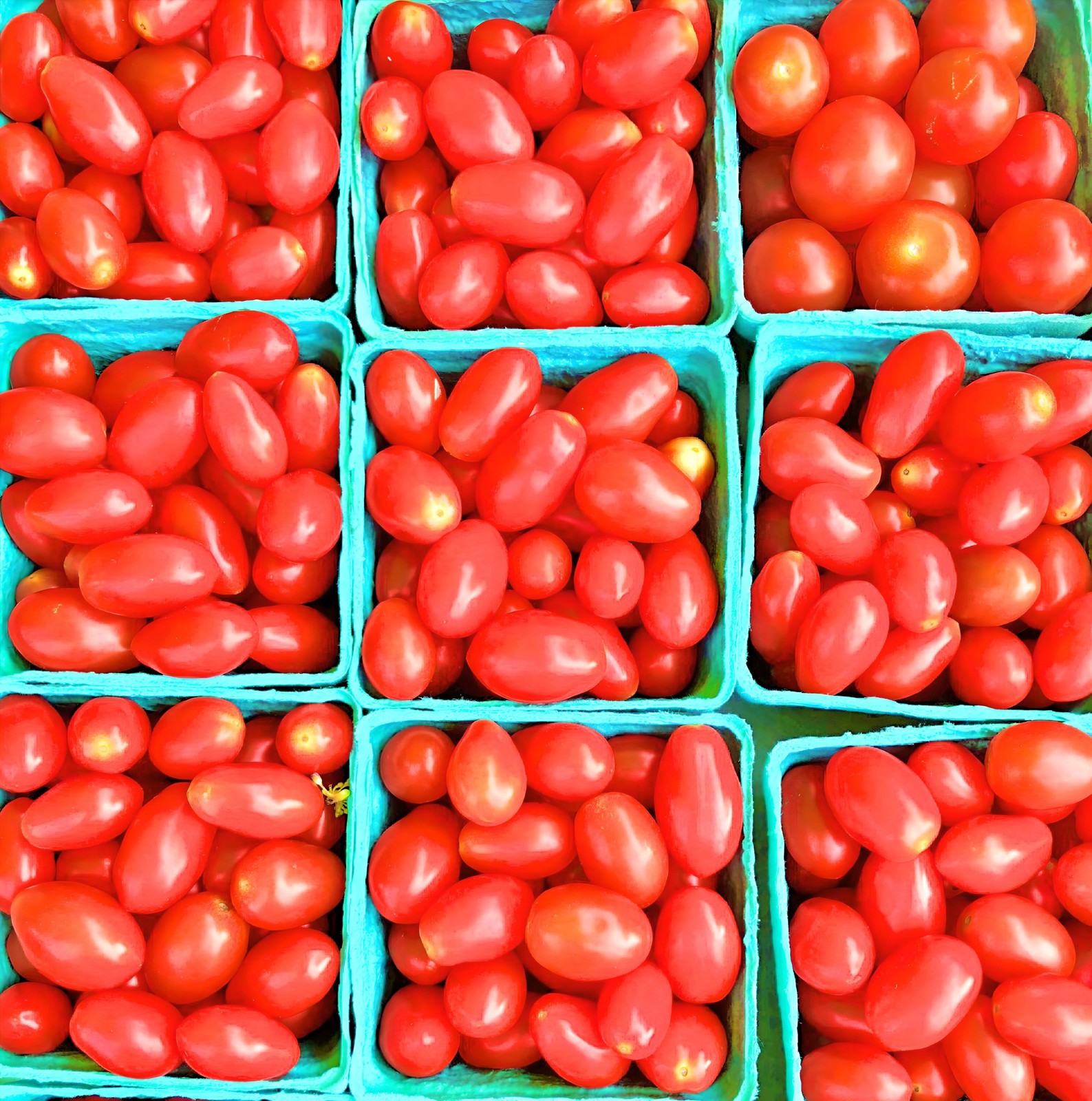 Red Pear, Tomato