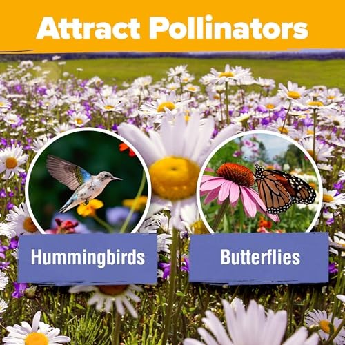 Wildflower Seeds Mix – 47,400+ Non-GMO – 19 1-Pack Wildflower Perennial Mix XL
