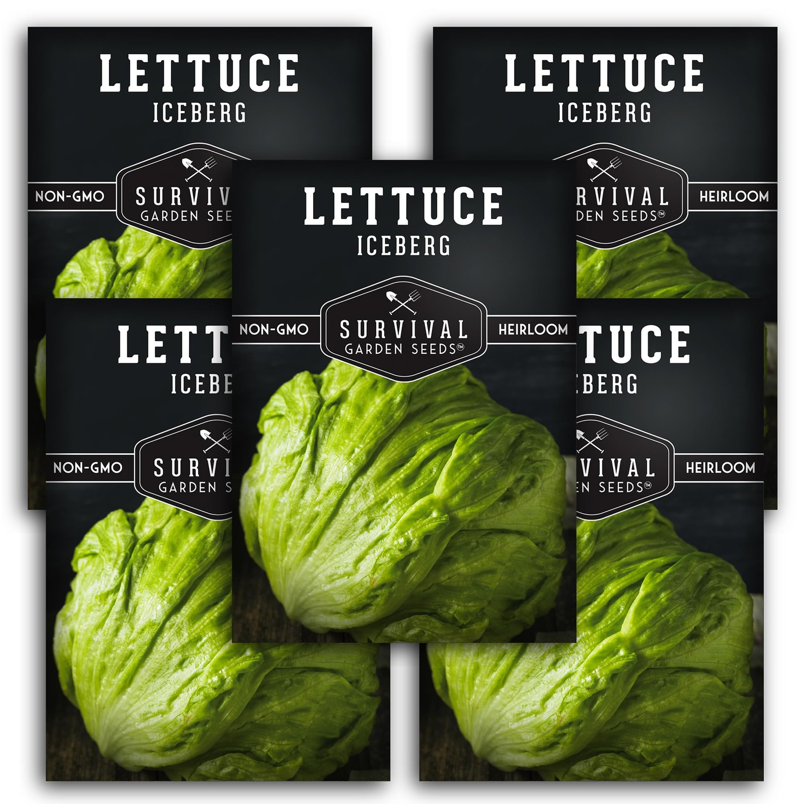 Iceberg Lettuce Seeds for Planting – Crisp Head Lettuce Variety with Crunchy …