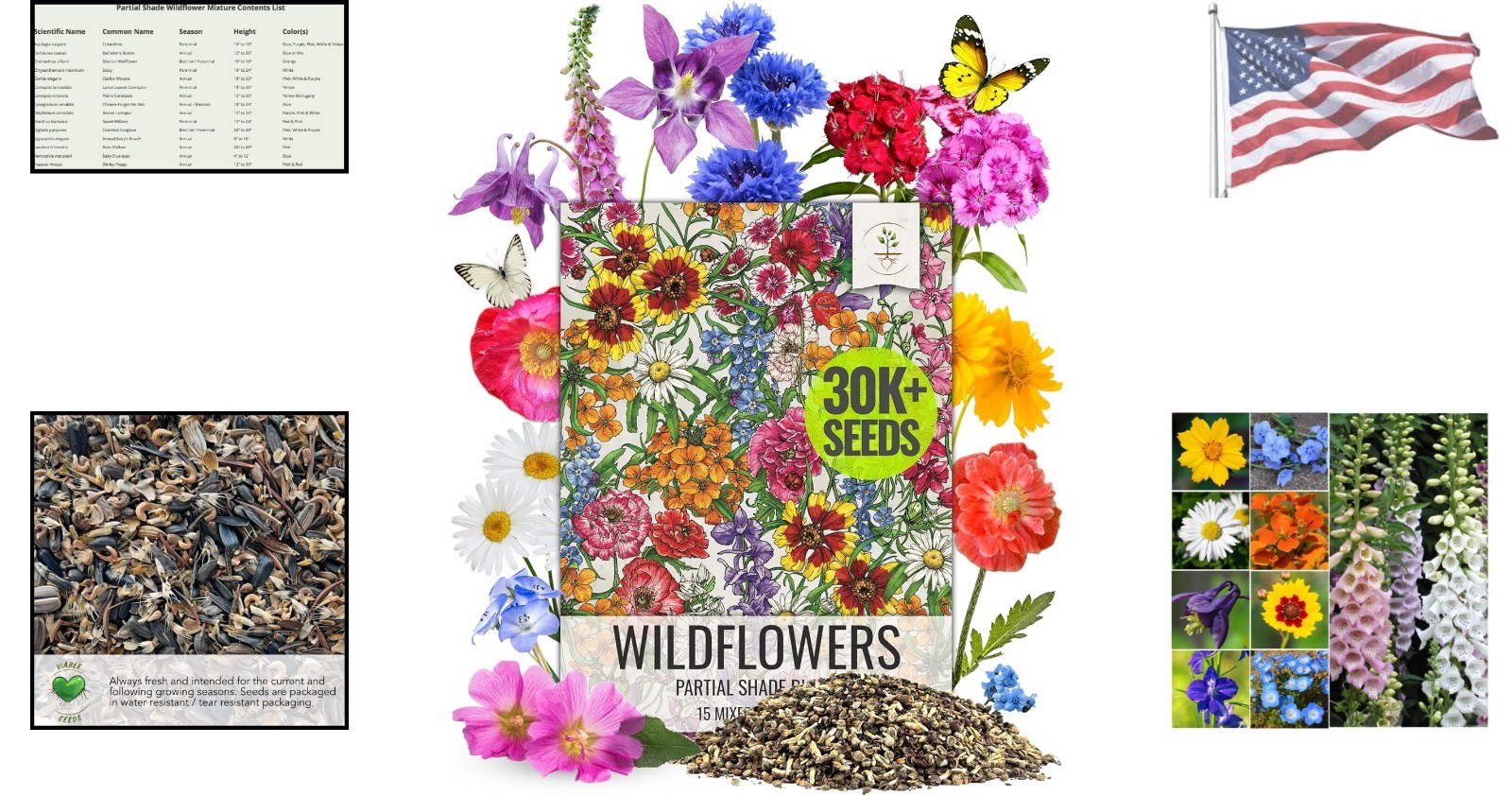 GMO Free Wildflower Seed Mix – 30000 Count for Butterfly Gardens – Mixed Colors