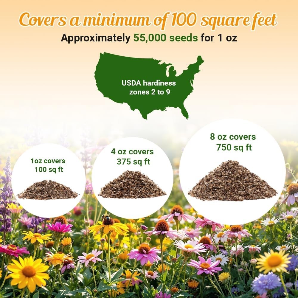 Beautiful Multi-Colored Wildflower Seeds – 1oz, Garden-Ready for Zones 2-10