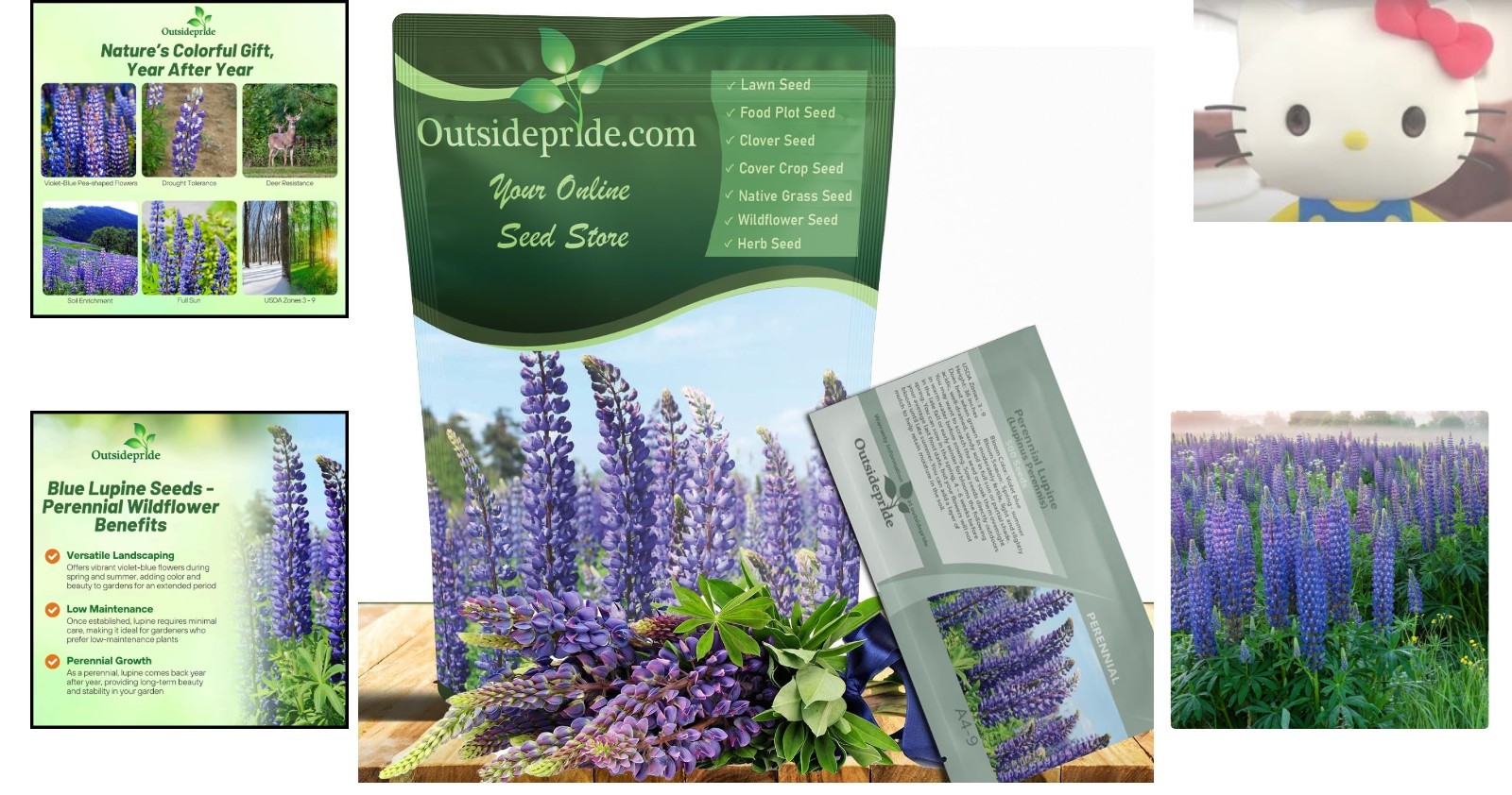 Fall Planting Blue Lupine Seeds – 1/4 Lb. for Lush Gardens in USDA Zones 3-9