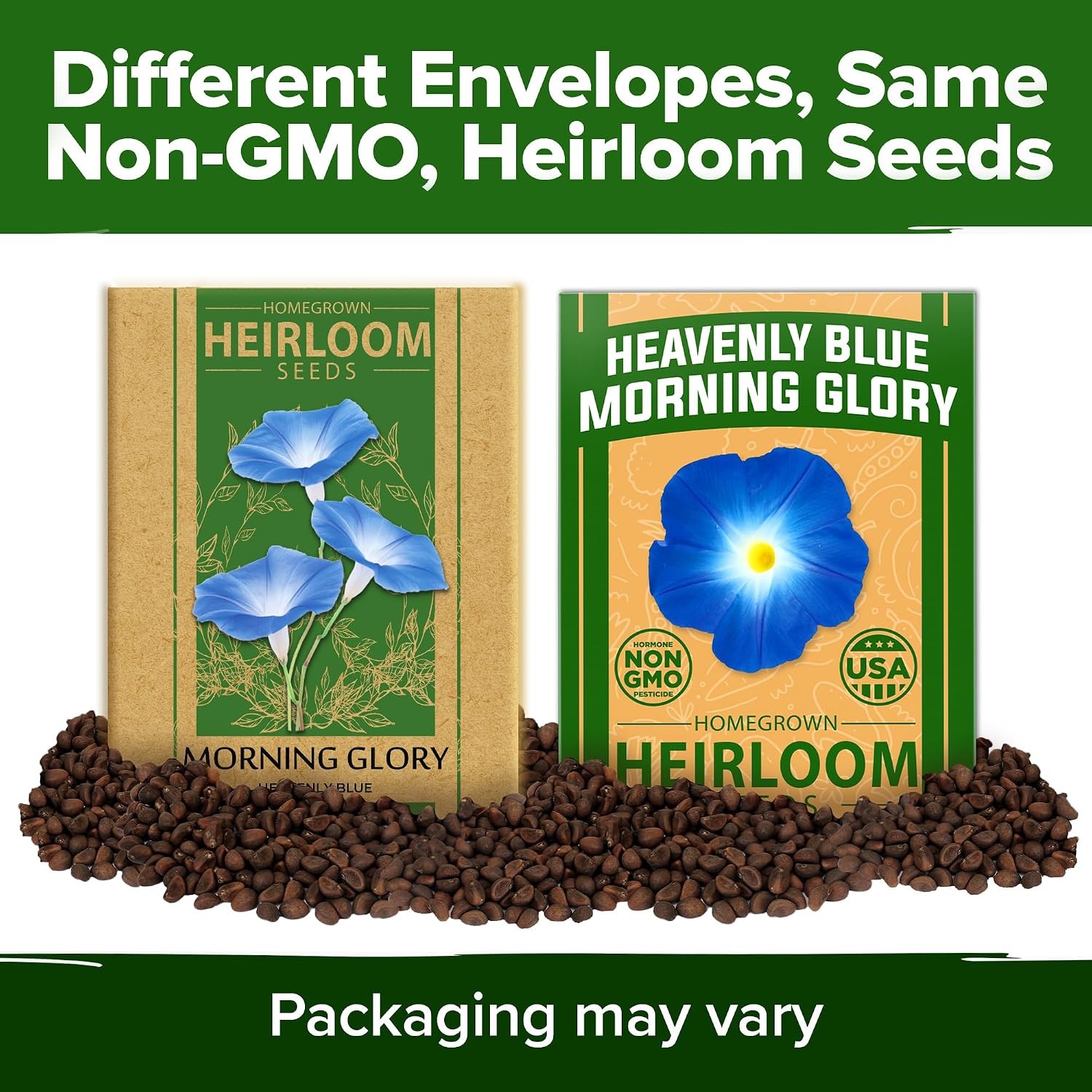 HOME GROWN Heavenly Blue Morning Glory 150 Heirloom Seeds for Flower Garden