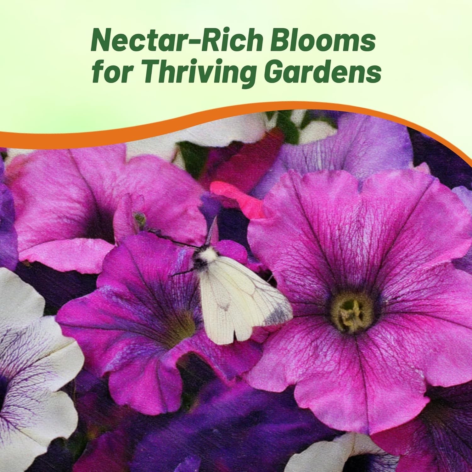 15 Seeds Spreading Petunia Flower Seeds – Shock Wave Spark Mix