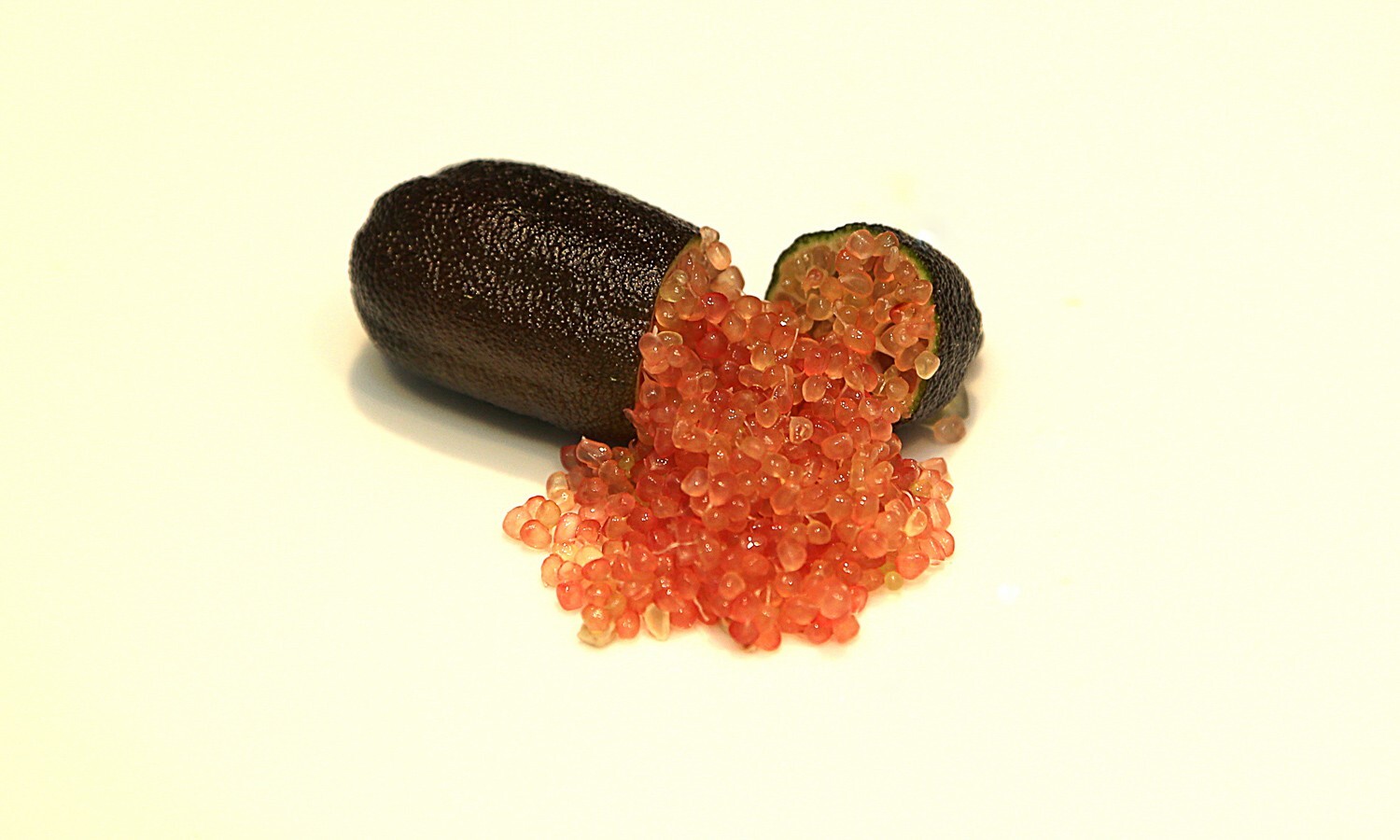 RED RUBY caviar Australian Finger Lime/citrus 3 cuttings, no roots, imported